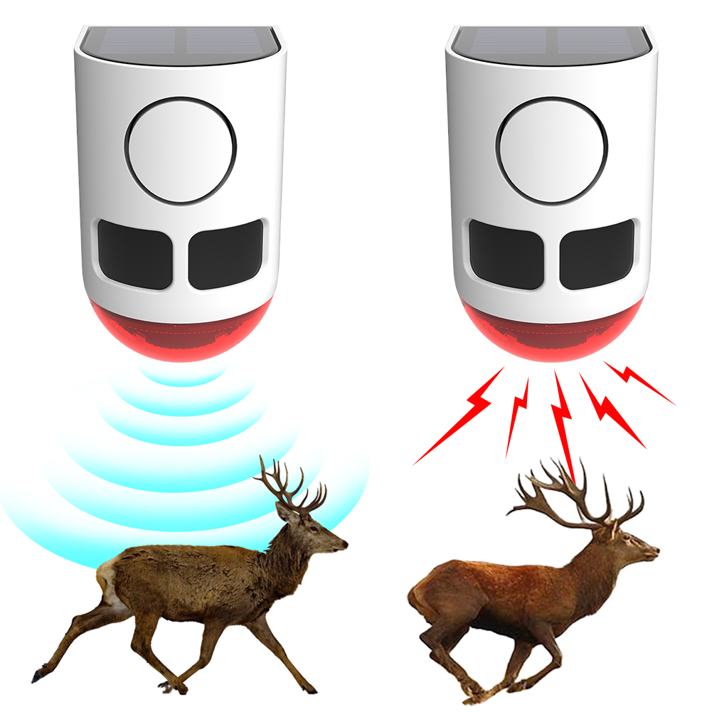 Home Yard Security - Güneş Enerjili Dış Mekan Hareket Sensörlü